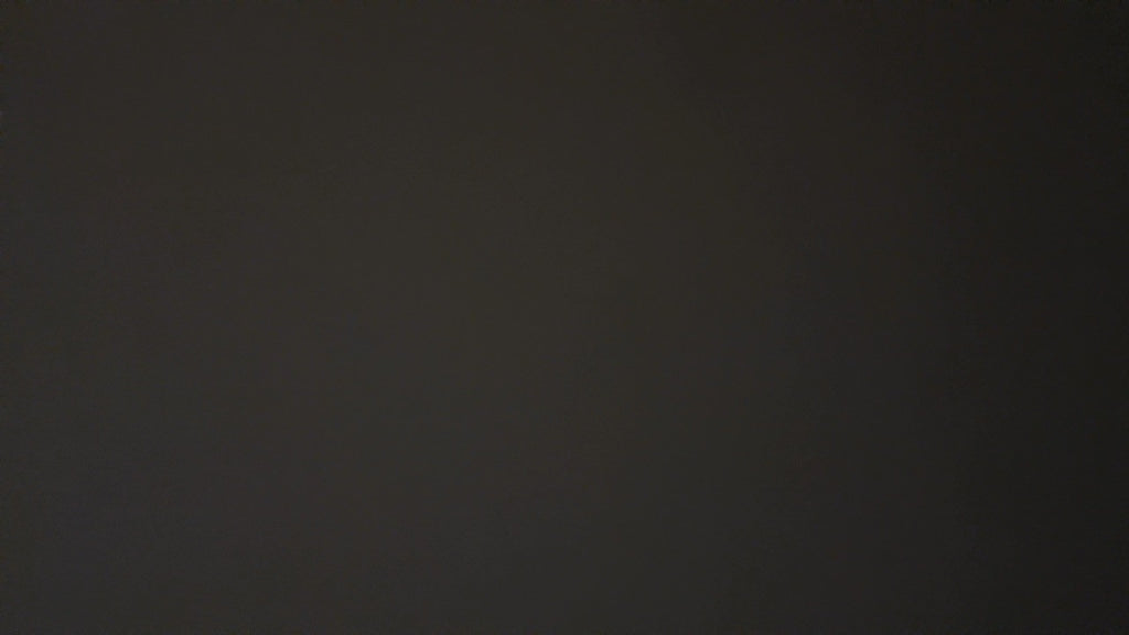 Go Walk Flex Hands Free Slip-Ins, Women's 8.5 W, Black/White Sneakers