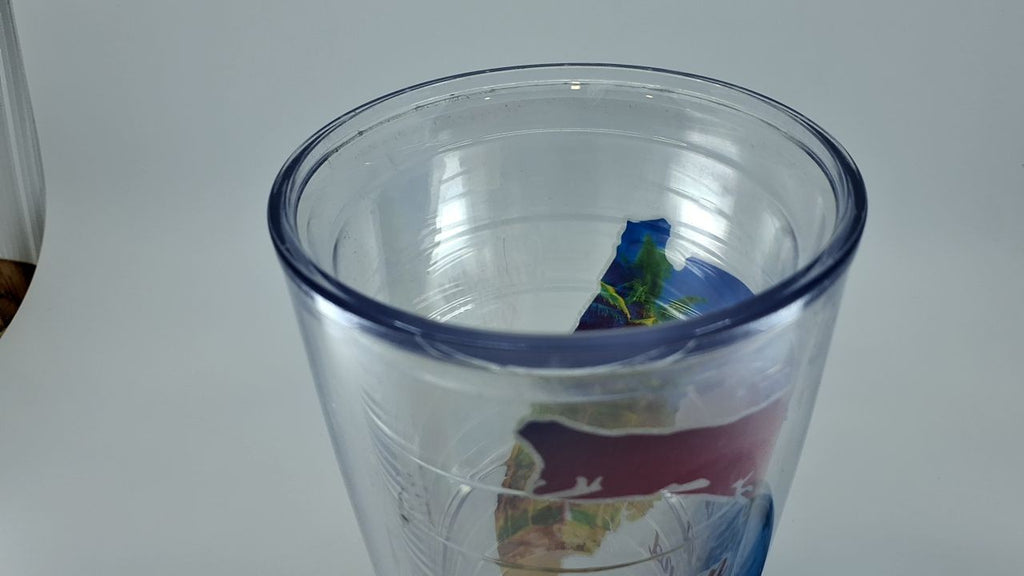Tervis 24oz Insulated Tumbler - Florida Sunshine State, Clear & Turquoise