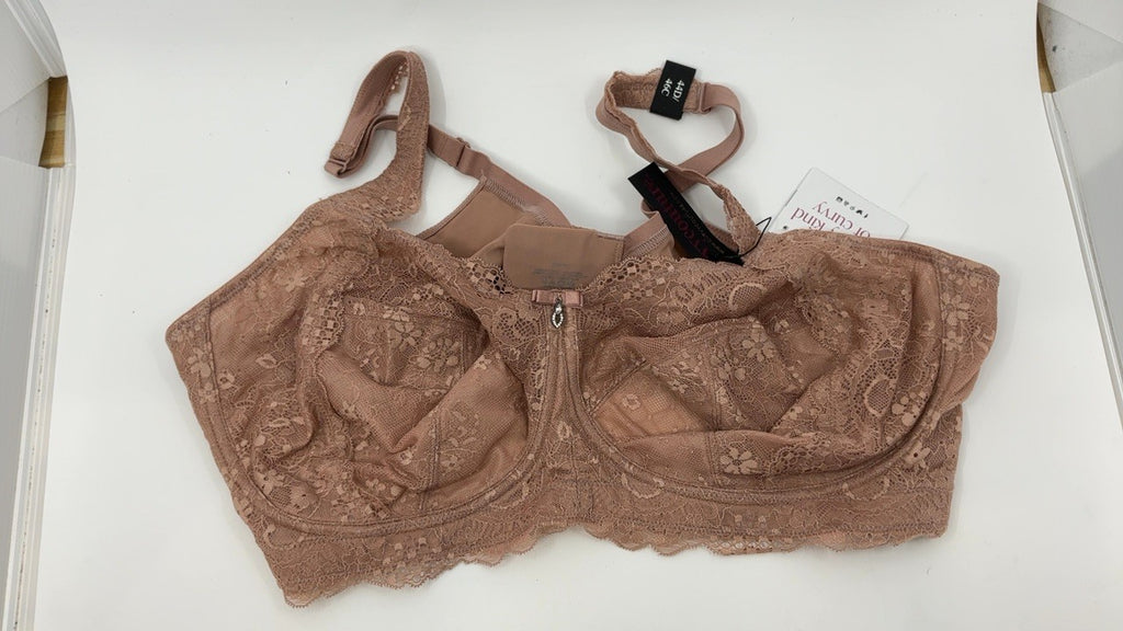 Curvy Couture Plus Size Plunge Bra 44D, Sheer Mesh, Ballet Fever