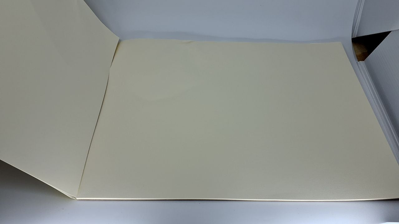 Strathmore 300 Series Canvas Pad 12x16 in, 10 Sheets for Acrylic & Oil
