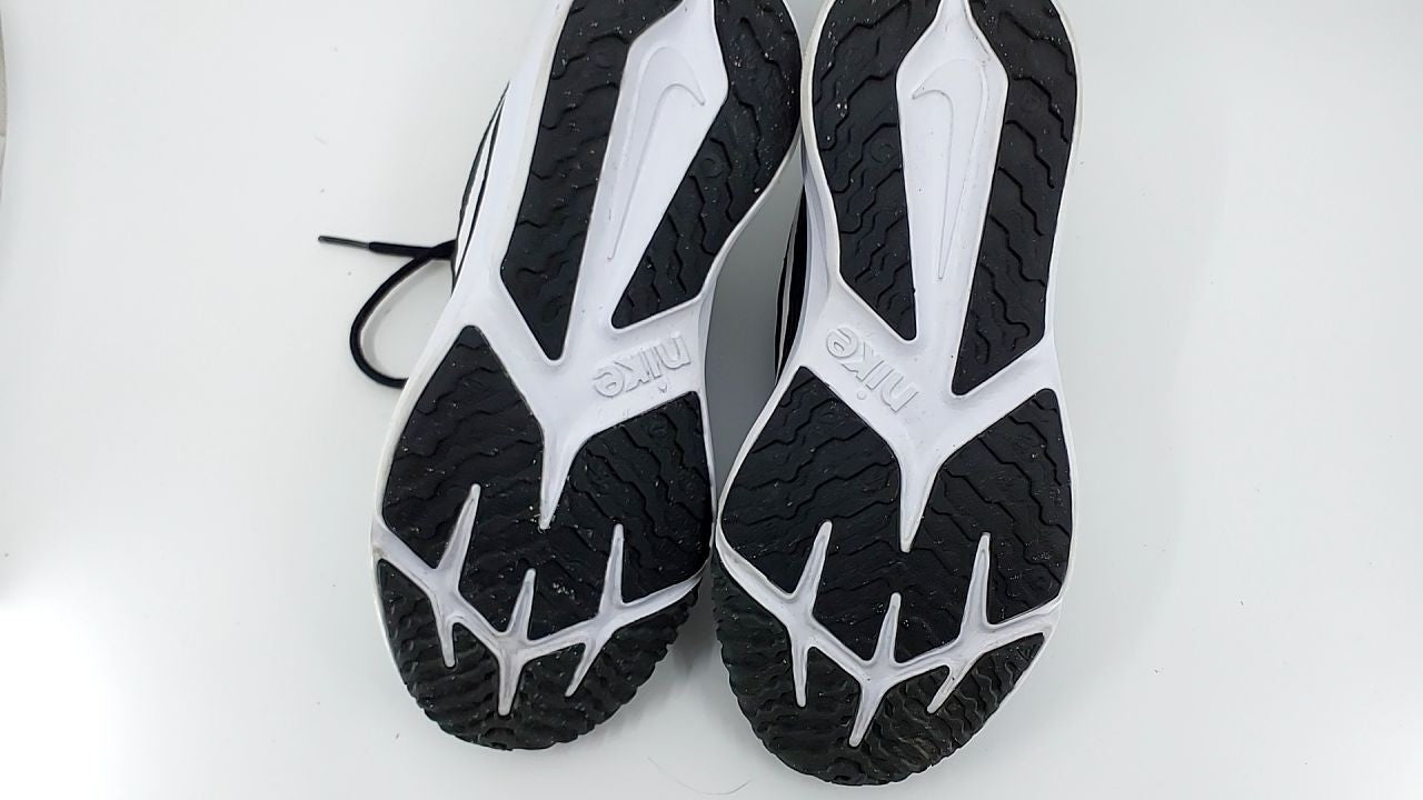 Nike Flex Runner 2 (Big Kid)