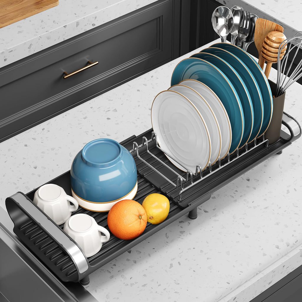 Mini Expandable Dish Drying Rack, Stainless Steel, Black, Compact Design