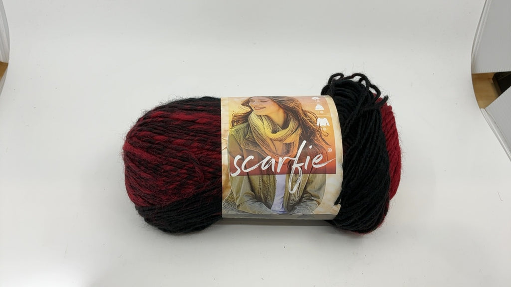 Lion Brand Yarn (1 Skein) Scarfie Bulky Yarn, Cranberry/Black